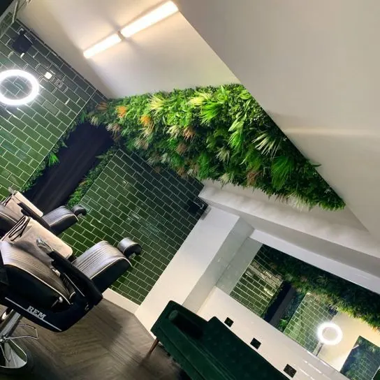 Inside ATMOS: the chairs, green tiles and the living wall